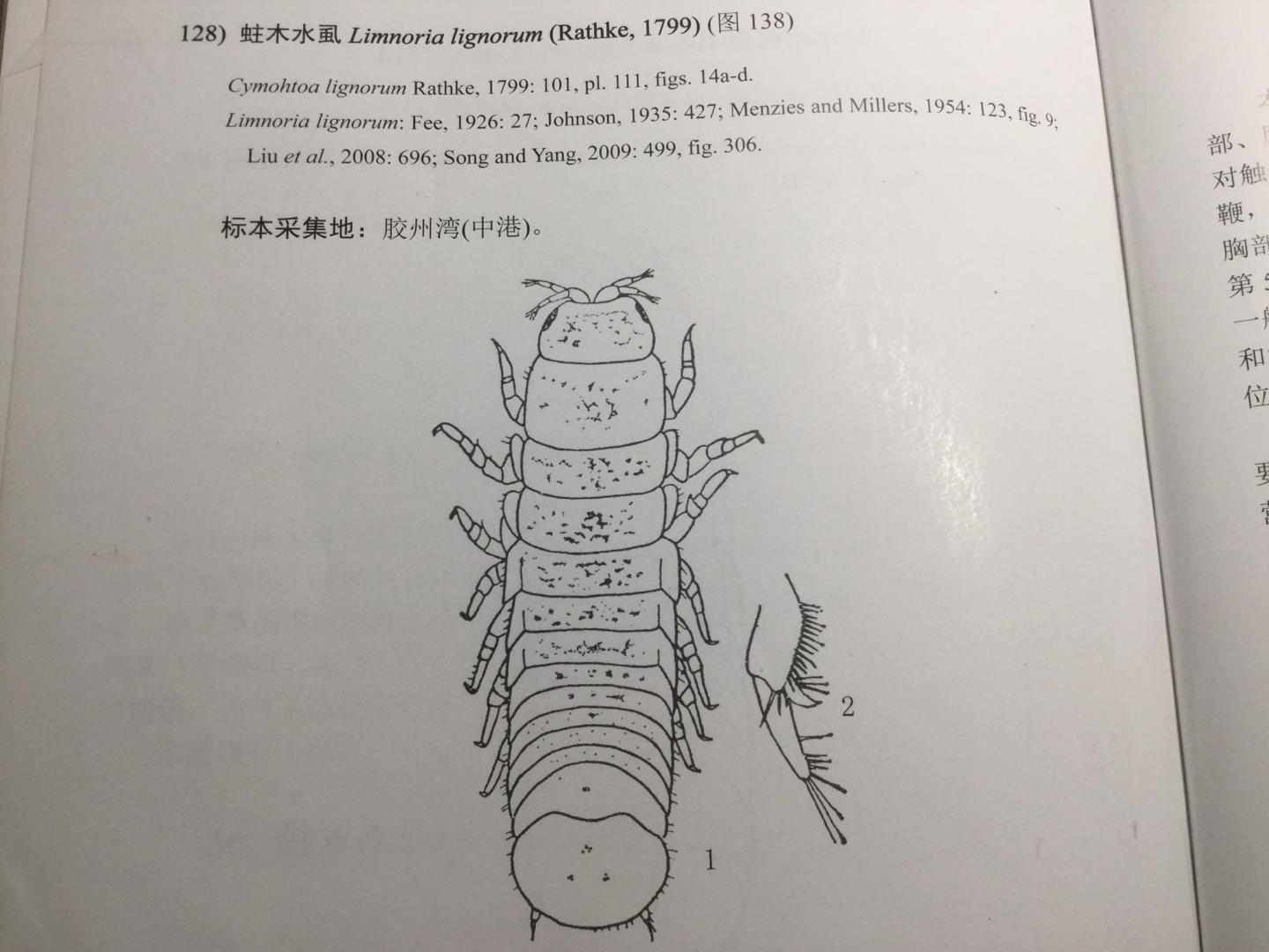 neria的潮蟲角落 _ 嗶哩嗶哩相簿