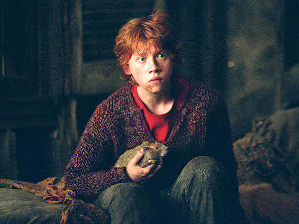 ho- _ 哔哩哔哩相簿