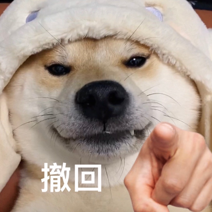 表情包自取哦![doge]#阿柴苏喂喂#浏览:1.