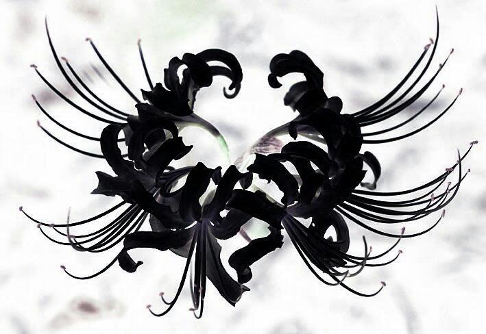 上传时间:2020-12-27 17:59:44