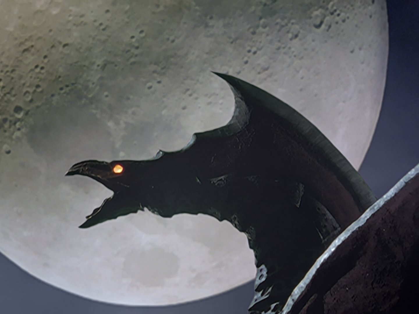 天照天天 _ 哔哩哔哩相簿