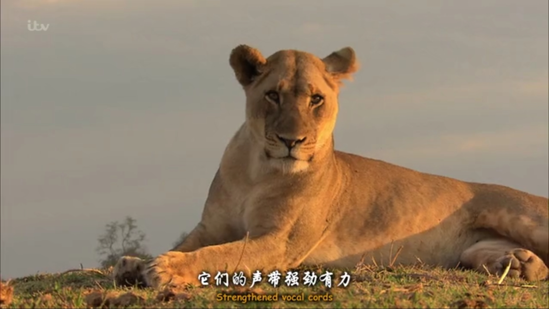 风子的匆忙海星 _ 哔哩哔哩相簿