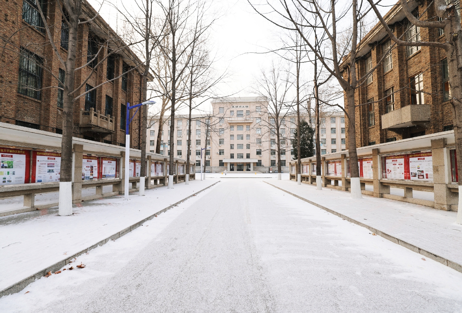 ta 的直播间闲置中资源与环境学院2022元旦晚会中国农业大学团委0ta