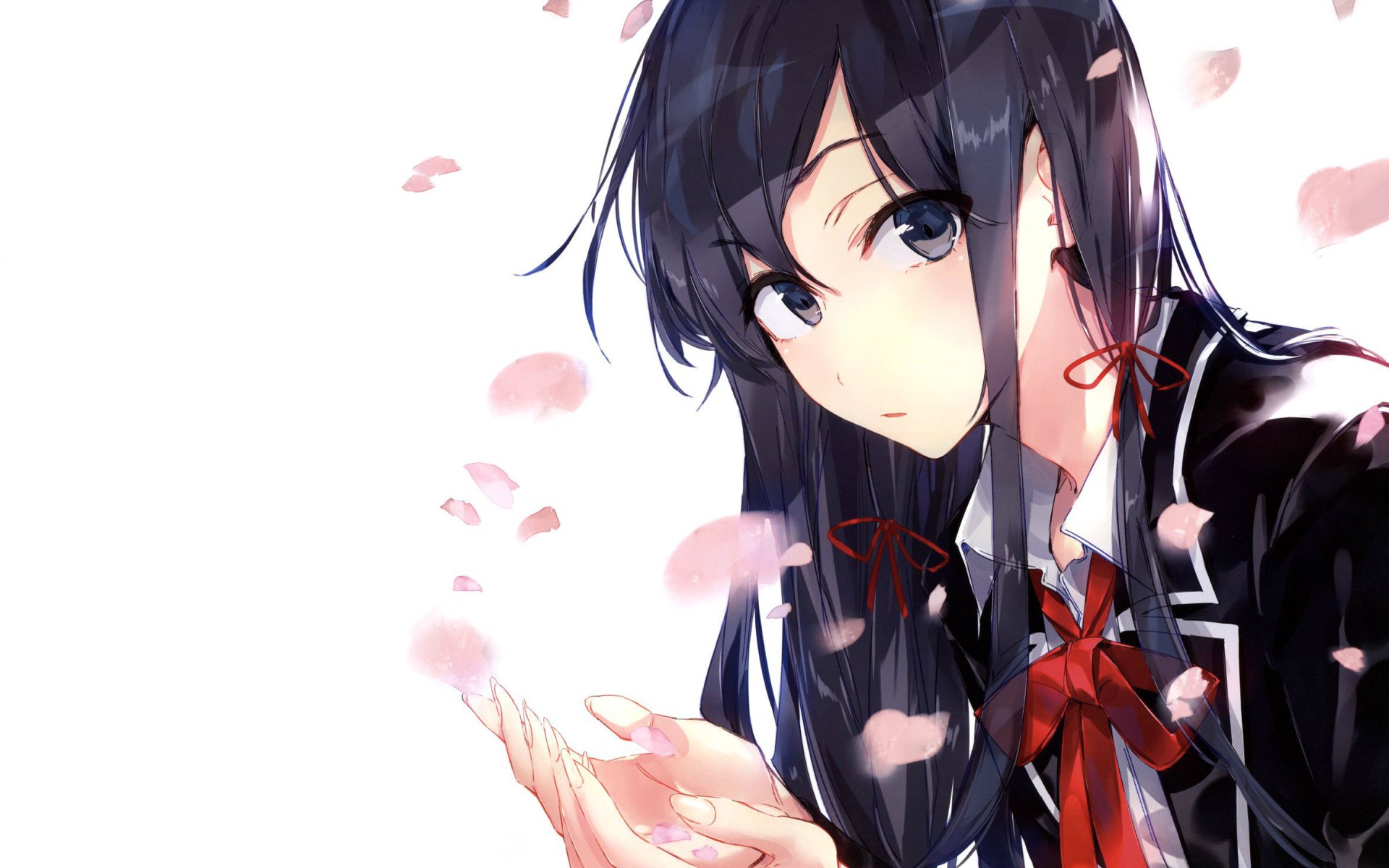 靑い紫阳花 _ 哔哩哔哩相簿