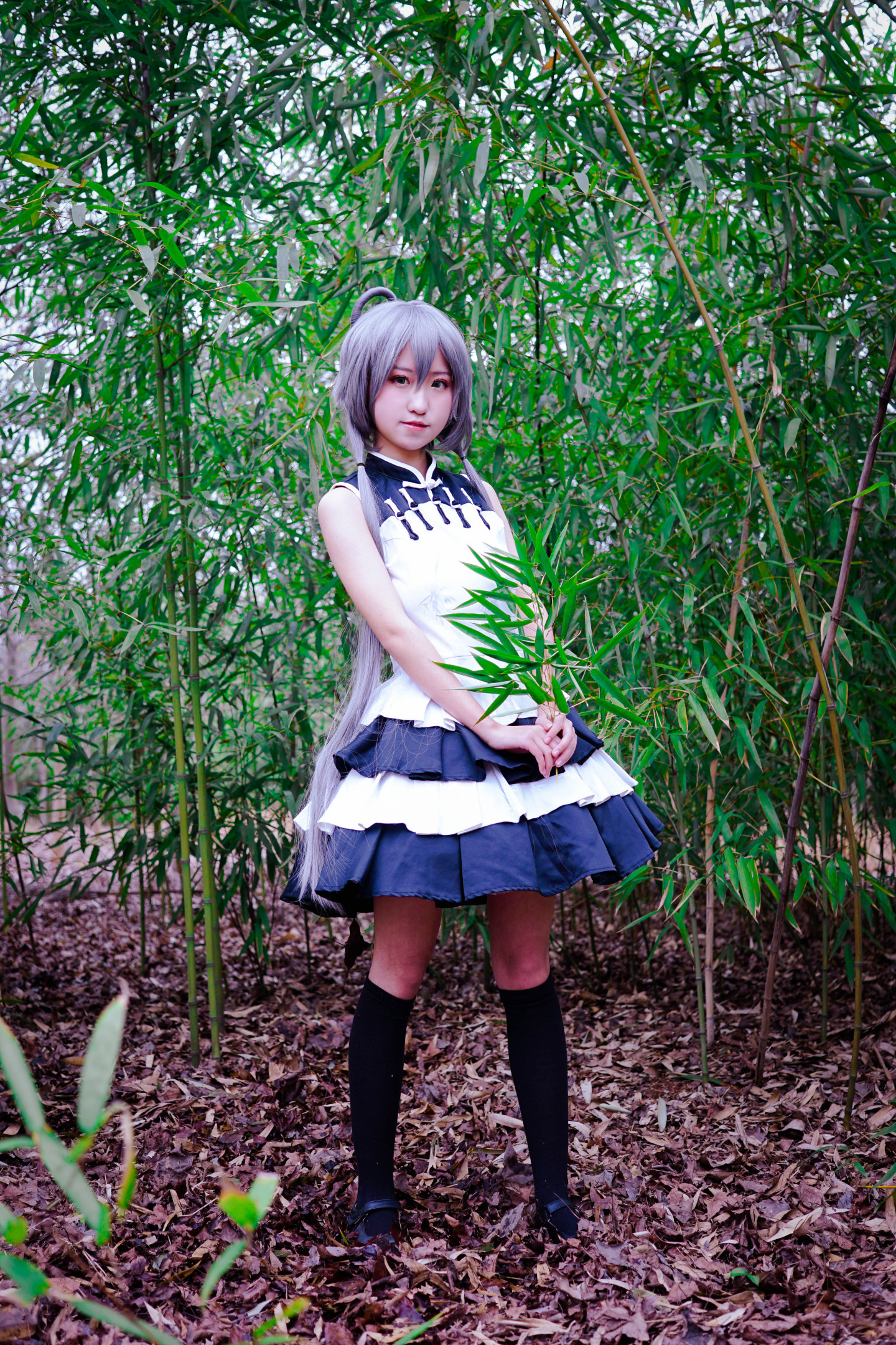 桉无Vocaloid洛天依CosPlay3