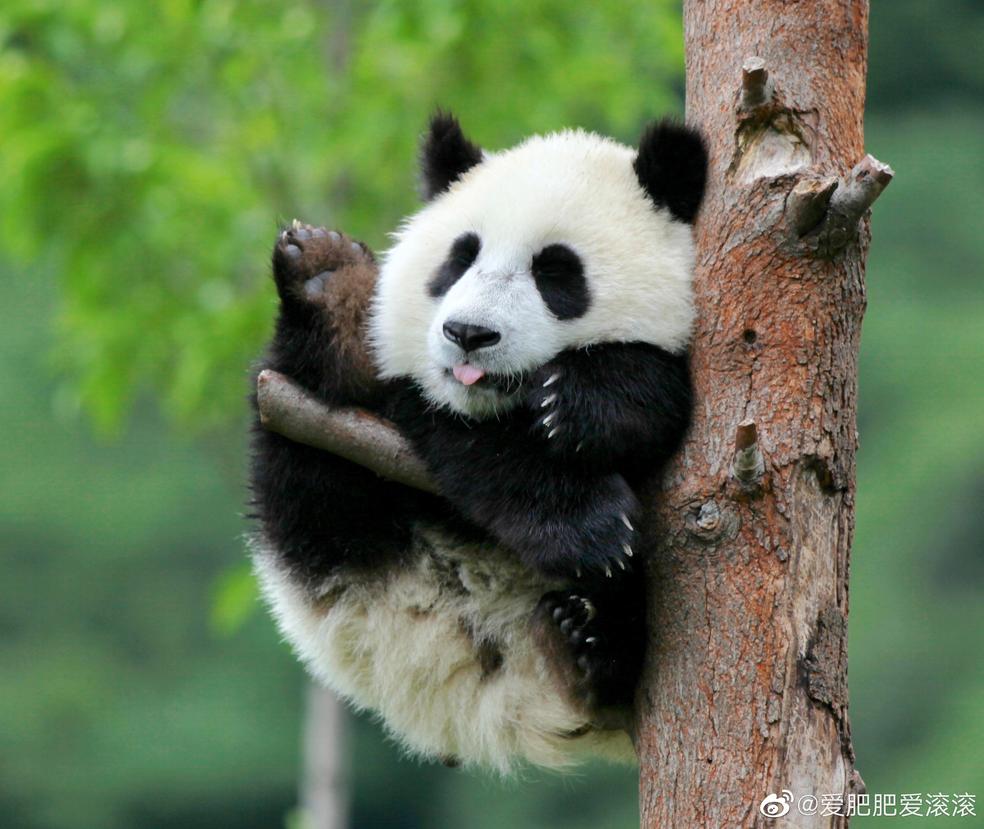 汽61好饿好饿好饿61水 _ 哔哩哔哩相簿