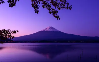 Photo by WPcoder