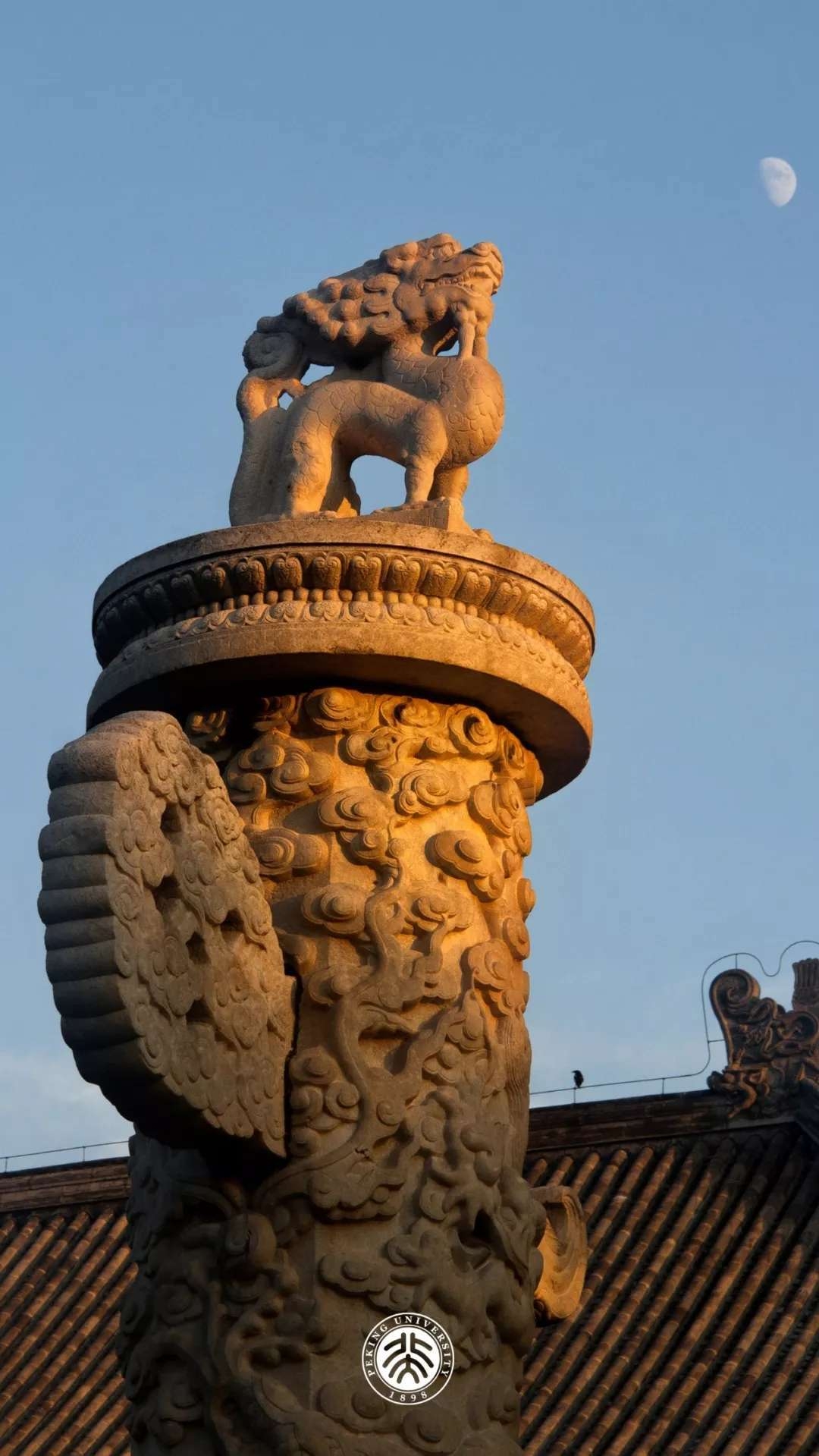 上传时间:2020-12-06 22:46:30