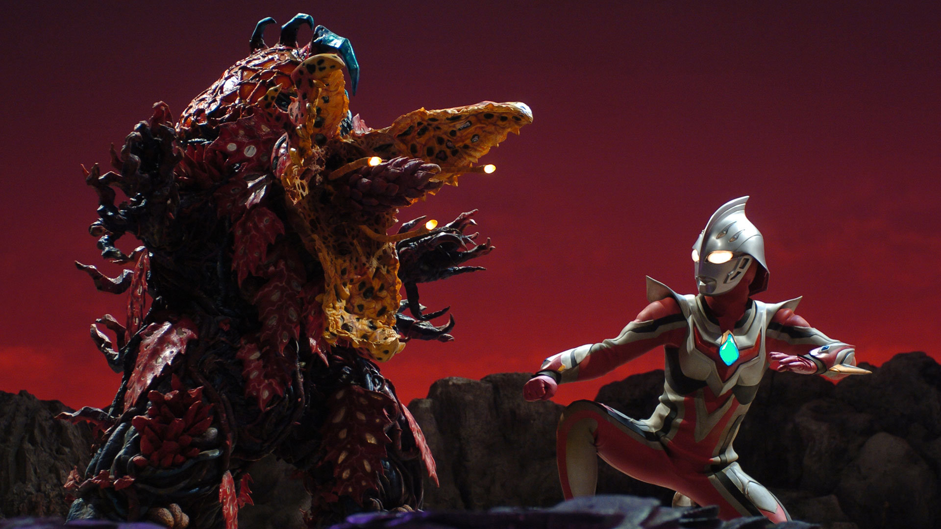 天照天天 _ 哔哩哔哩相簿