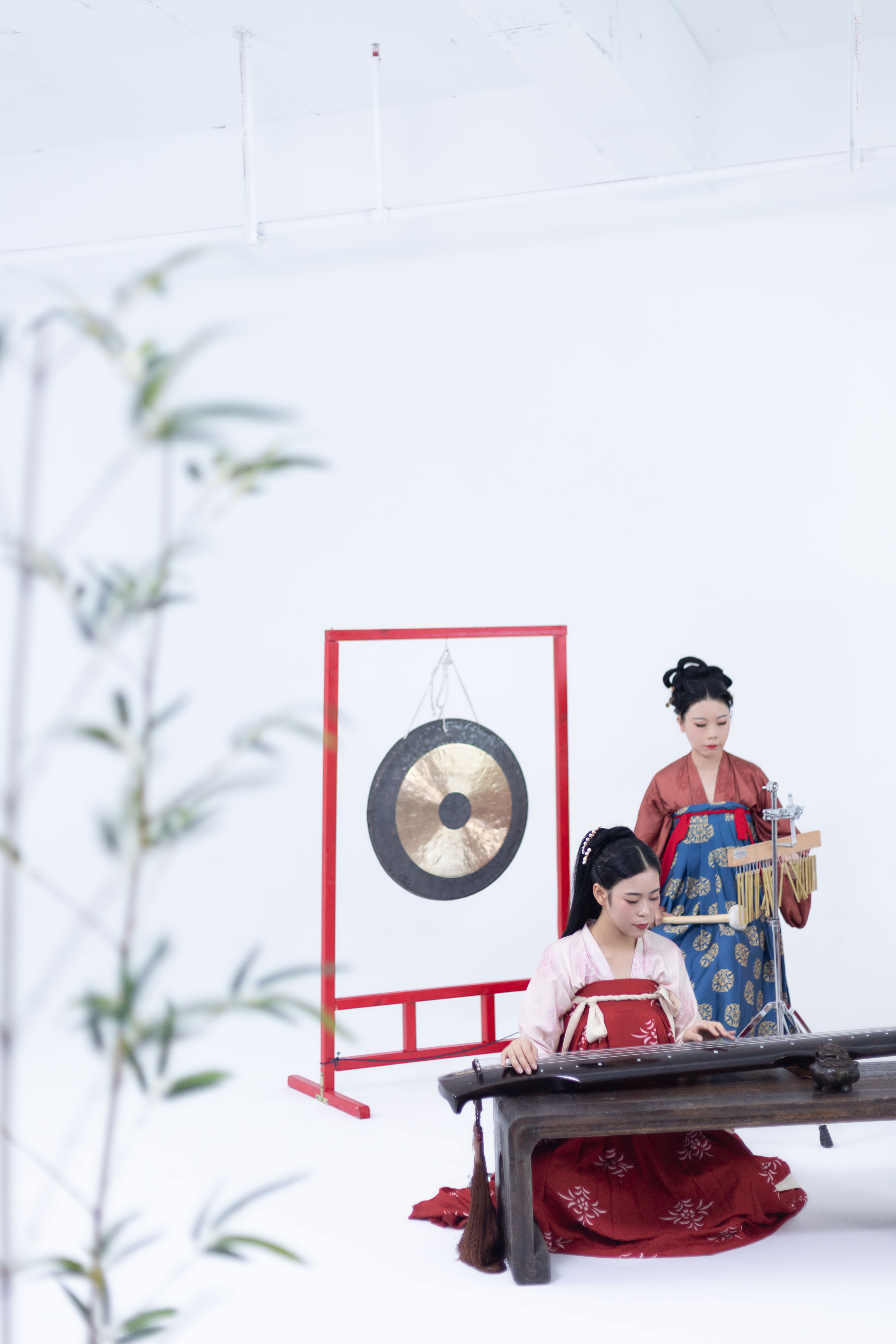 太音琴社 _ 哔哩哔哩相簿