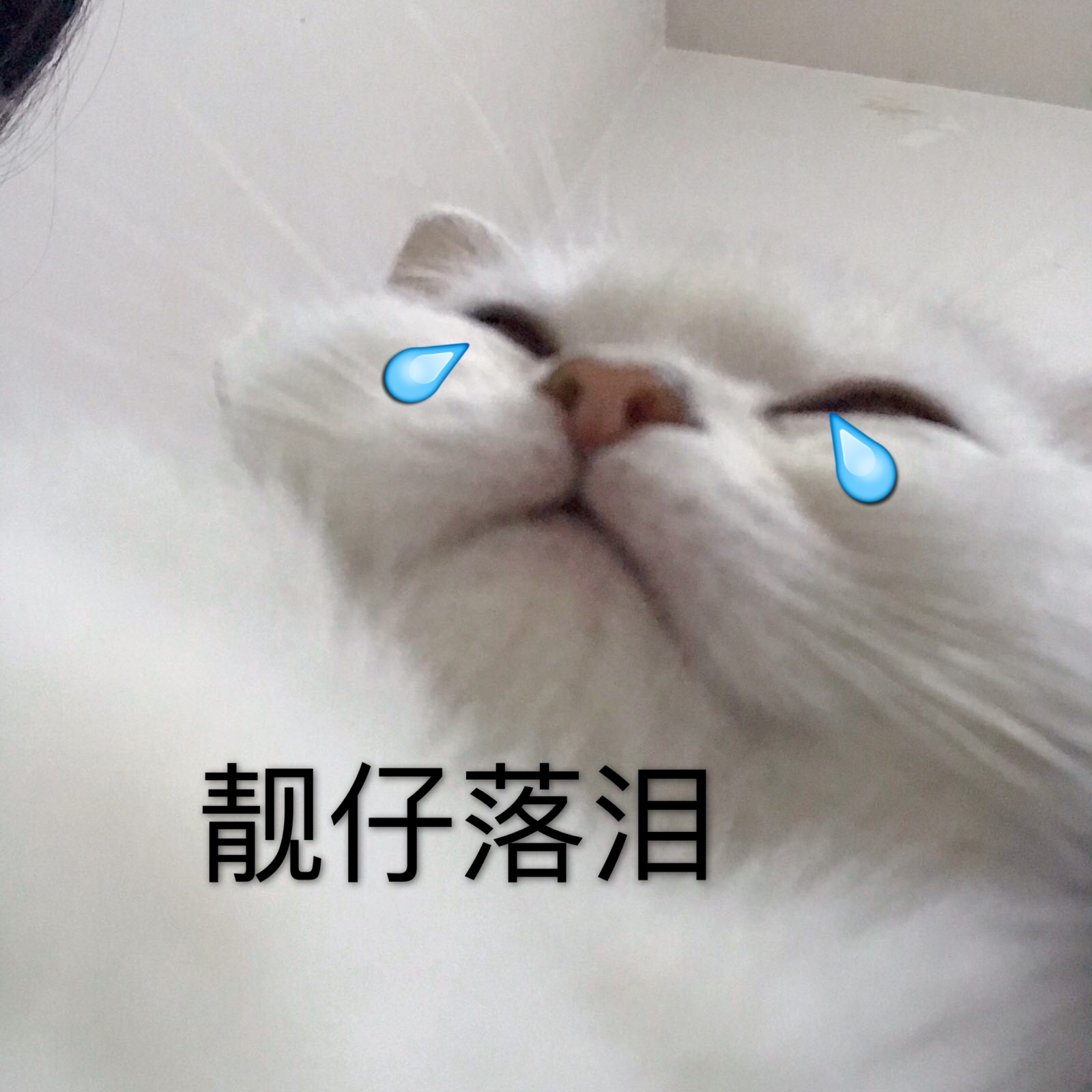 sherry是小蓉包 _ 哔哩哔哩相簿