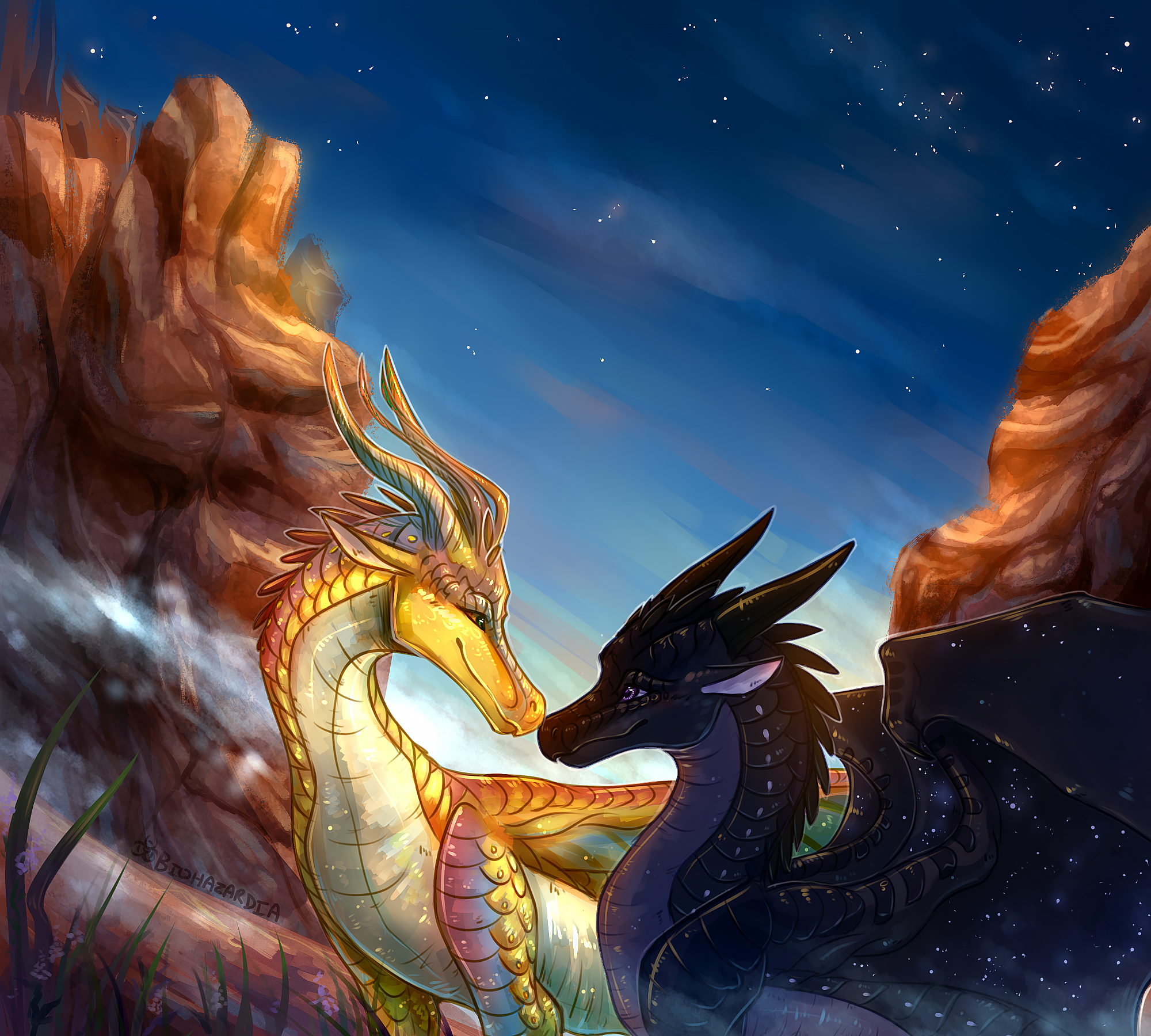 热情的功夫迷 _ 哔哩哔哩相簿