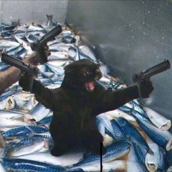 46诱 _ 哔哩哔哩相簿