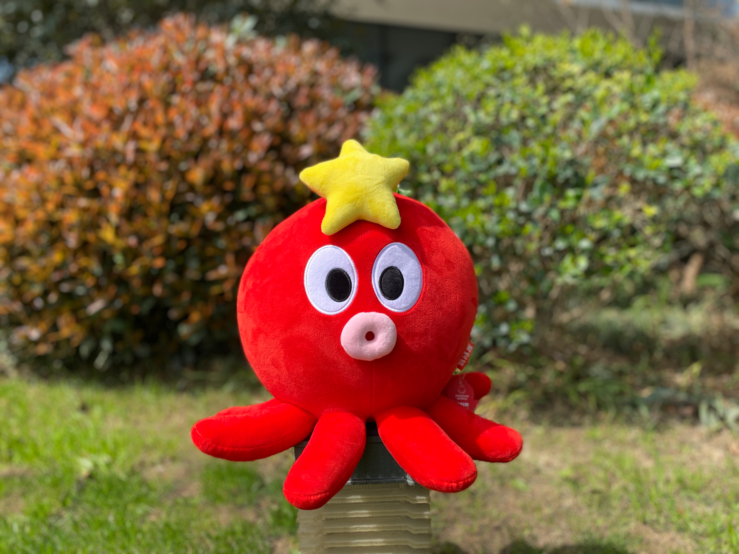 ta 的直播间轮播中【3d】聚划算章鱼娘首播抽ps5啦!