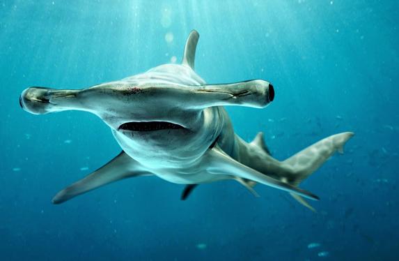 上传时间:2020-04-27 21:48:43