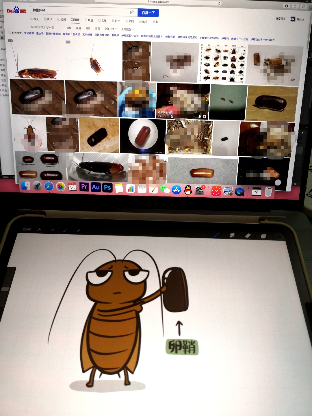 画渣花小烙 _ 哔哩哔哩相簿