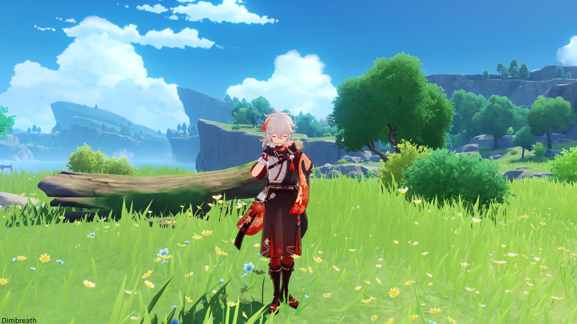 伊木成 _ 哔哩哔哩相簿