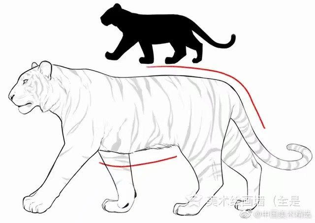 starlight书记 _ 哔哩哔哩相簿