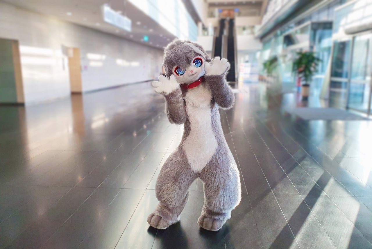 ina兔兔更新啦!浏览:2935收藏:0支持:66上传时间:2021-07-17 13:43:25