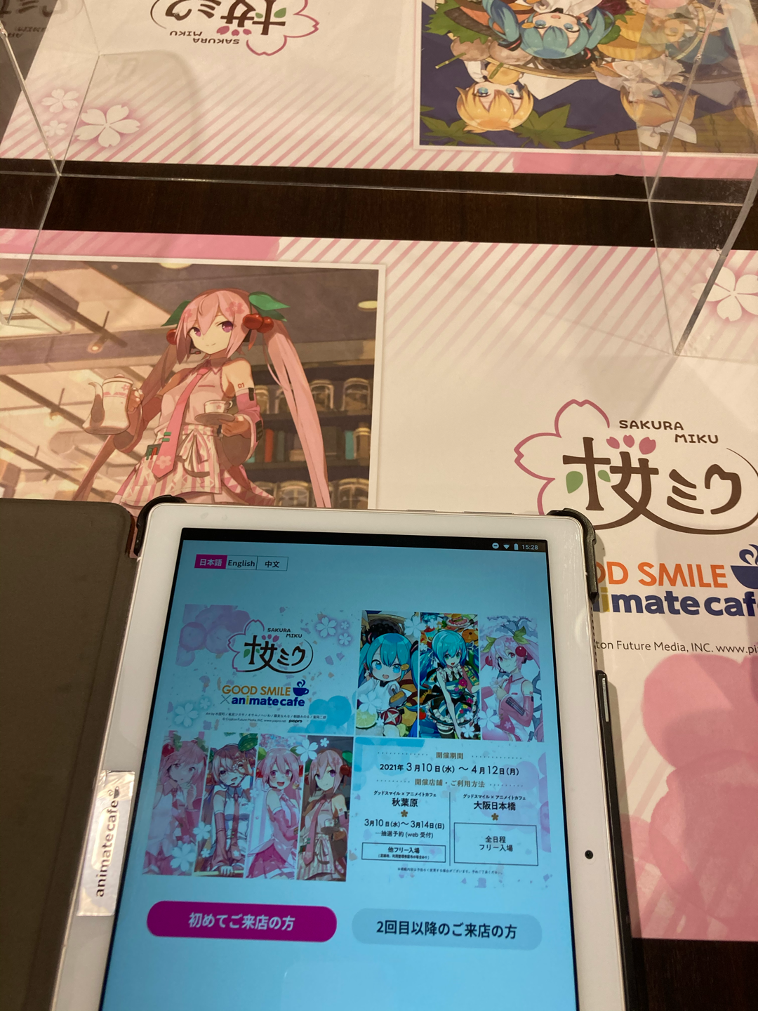 湫兮孤月 哔哩哔哩相簿