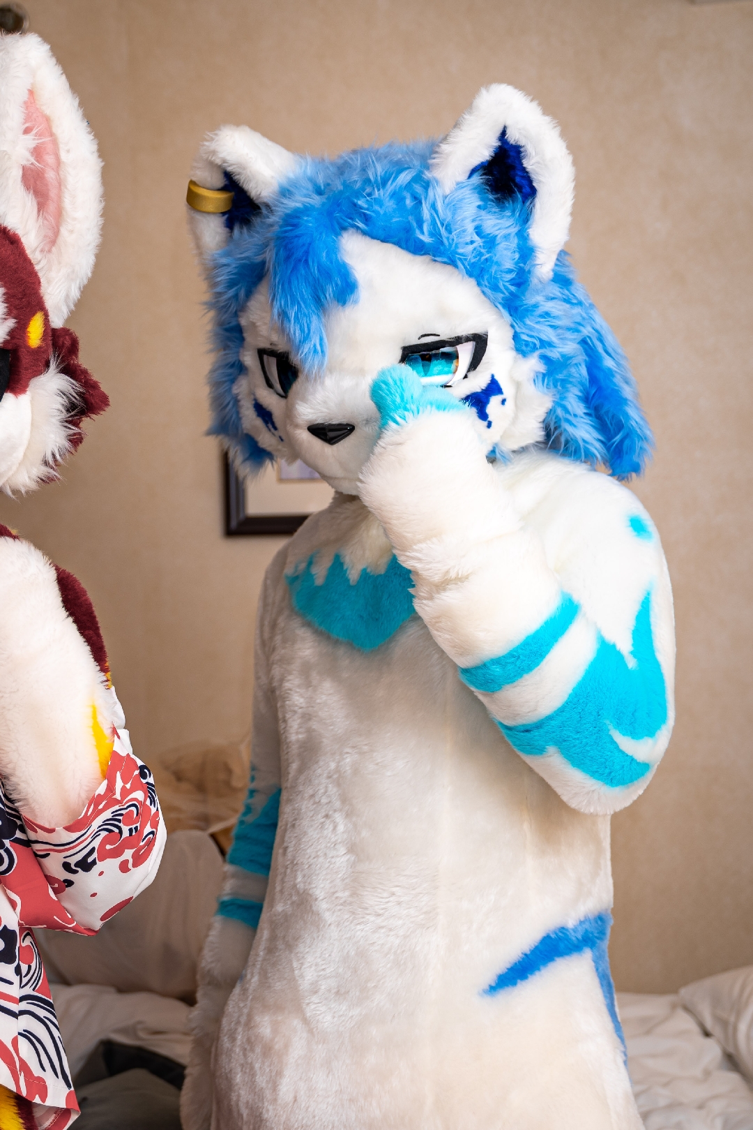 如此友好  毛毛:@pork酱  #毛毛星期五# #fursuitfriday# #极兽聚