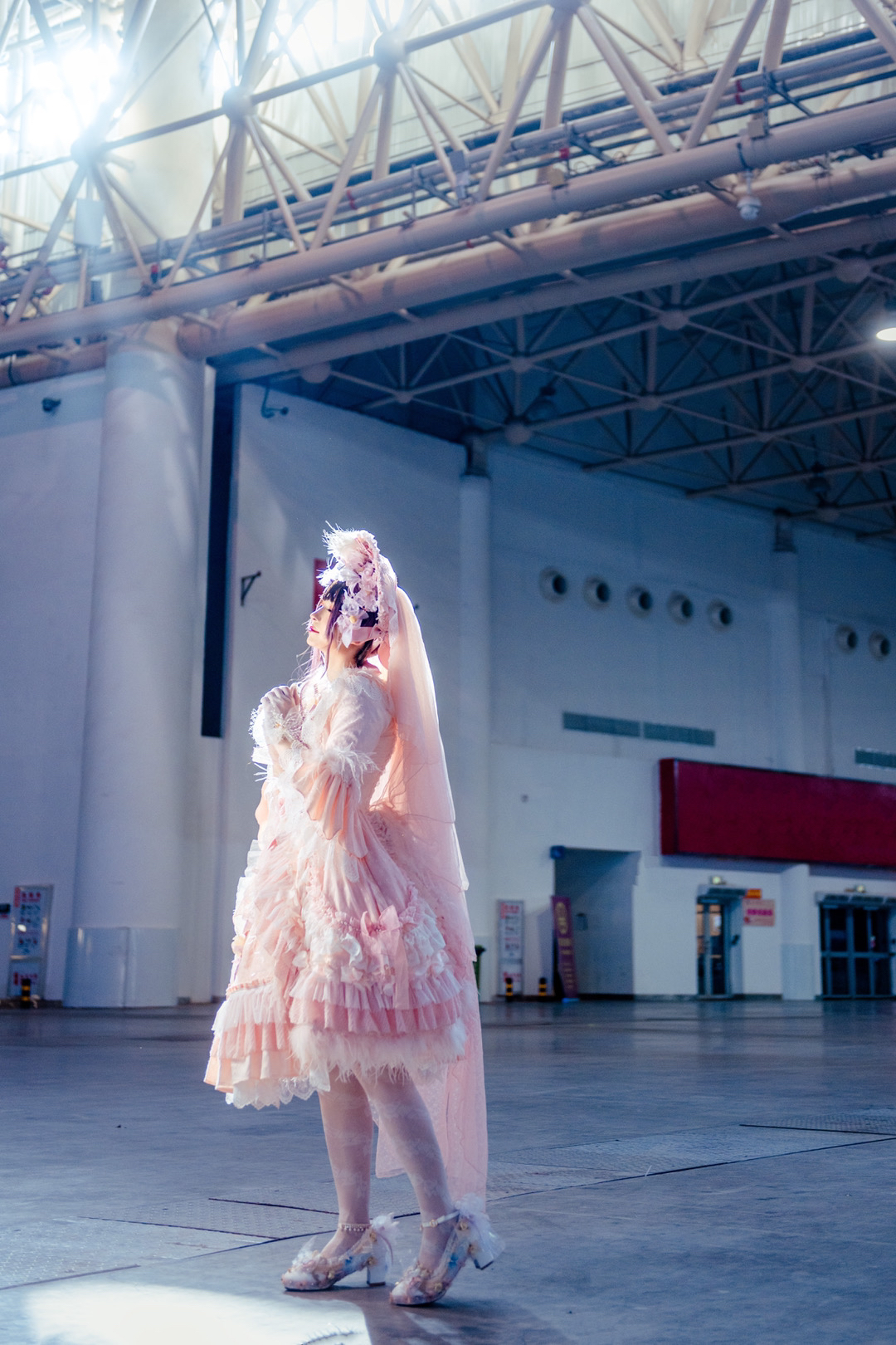 圆肥白 _ 哔哩哔哩相簿