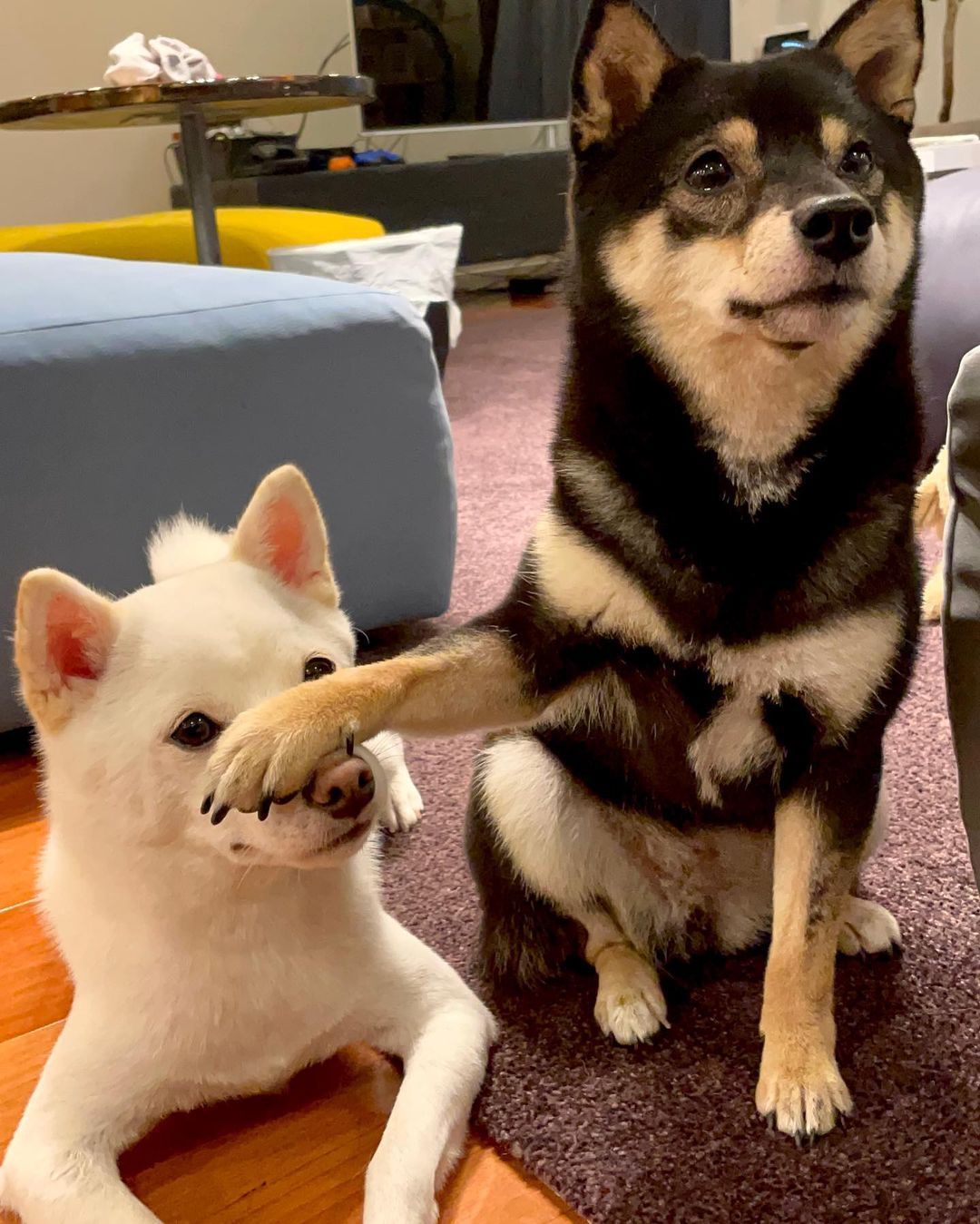 爱吃火锅的甜酱nim _ 哔哩哔哩相簿