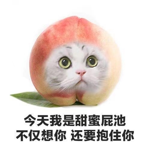 (菇菇在这里掏出小本本记个笔记[热词系列_知识增加])