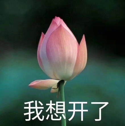 已经对谏山创没什么感觉了 心如止水浏览:42收藏:0支持:0上传时间