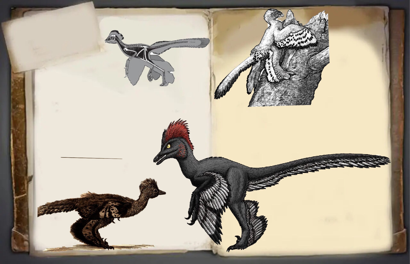 ta 的直播间闲置中暴虐伶盗龙0ta 的小视频0ta