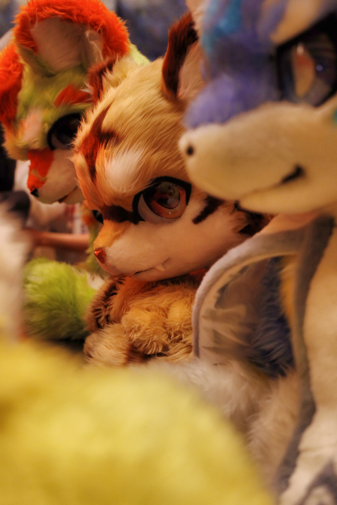 fursuitfriday# [妙啊] 91:@狮汁浏览:1.