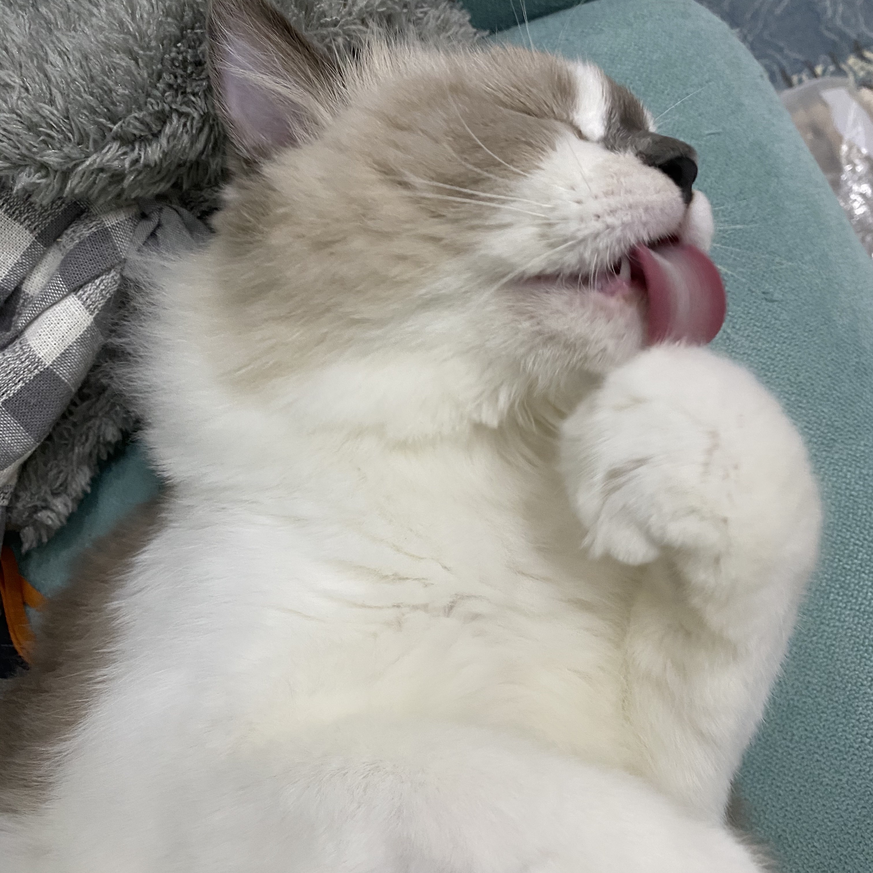 昨天和朋友一起看福原爱的可爱视频 觉得称呼爱酱好有爱 想一想自己