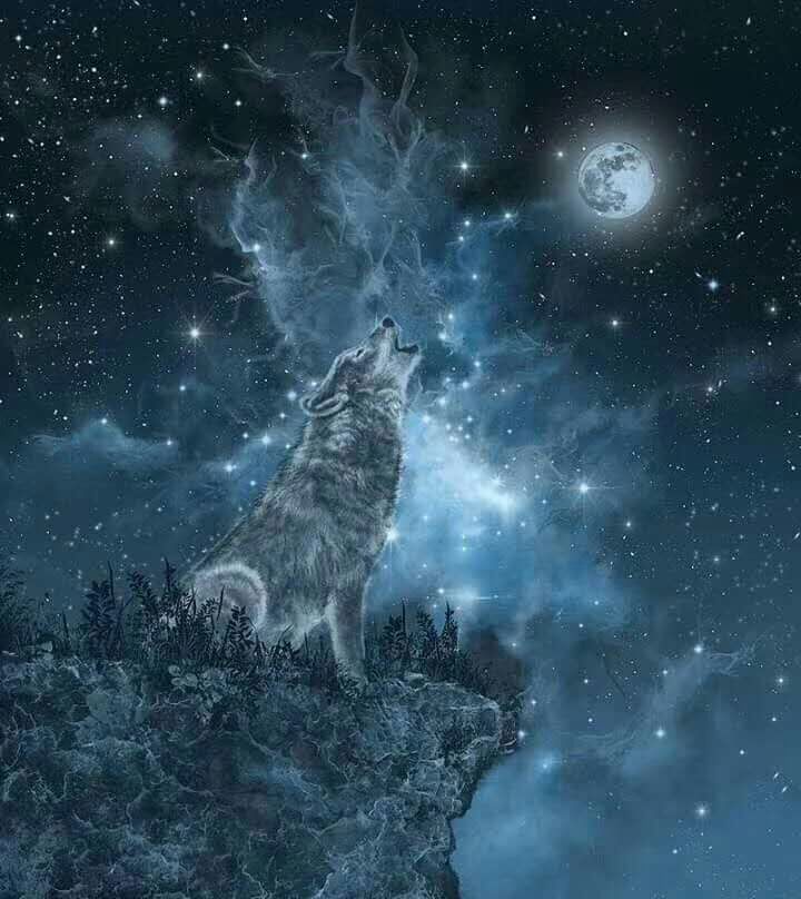 上传时间:2020-03-23 16:26:47