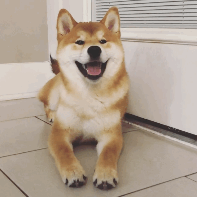636_636gif 动态图 动图