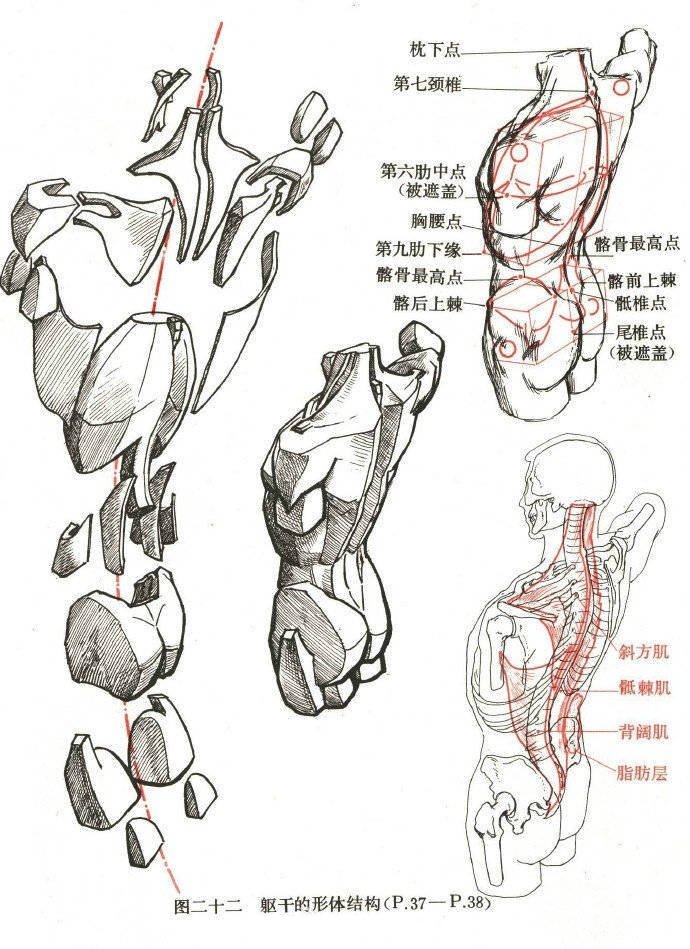 轻微课 _ 哔哩哔哩相簿