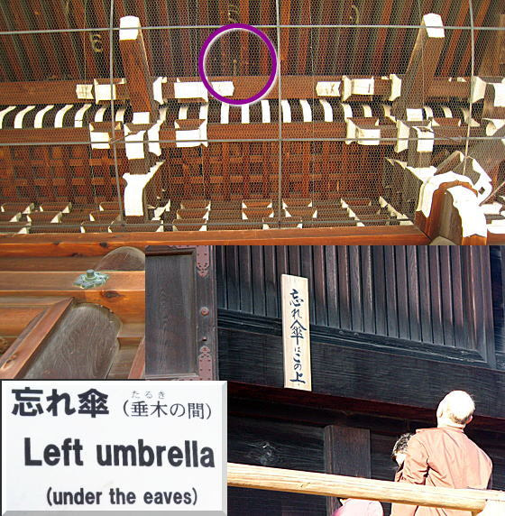 水狮提督衙门 哔哩哔哩相簿 水狮提督衙门 哔哩哔哩相簿