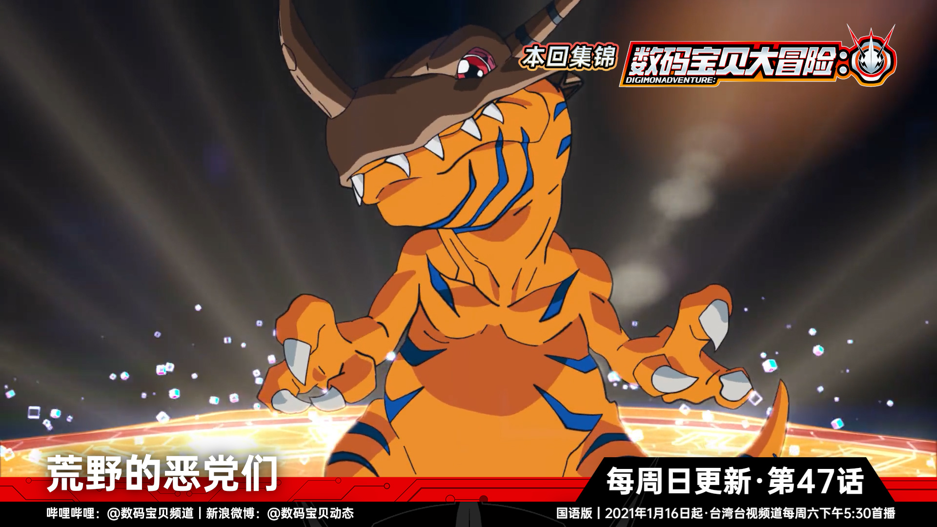 数码宝贝频道 _ 哔哩哔哩相簿