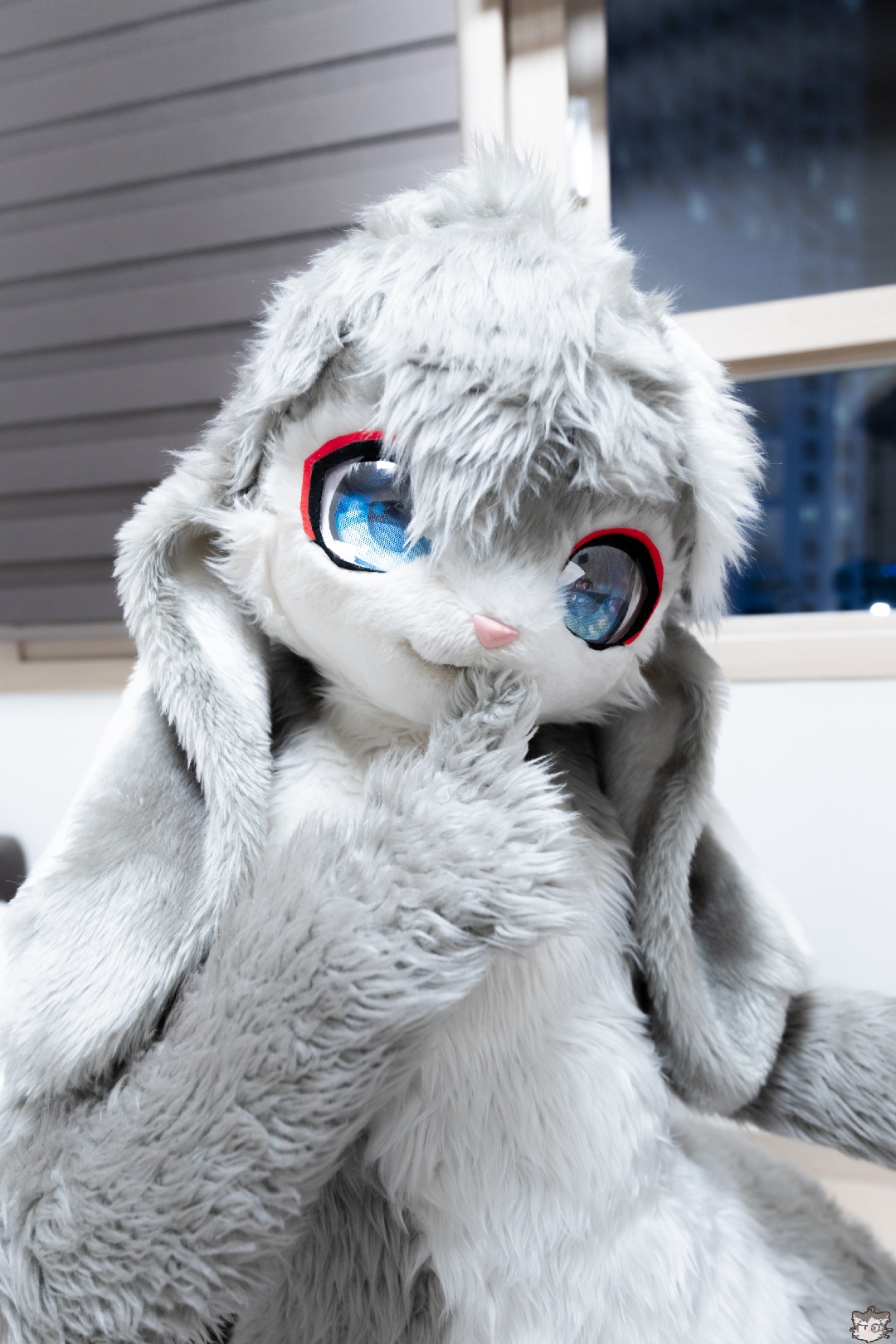 ina兔兔更新啦!浏览:2935收藏:0支持:66上传时间:2021-07-17 13:43:25