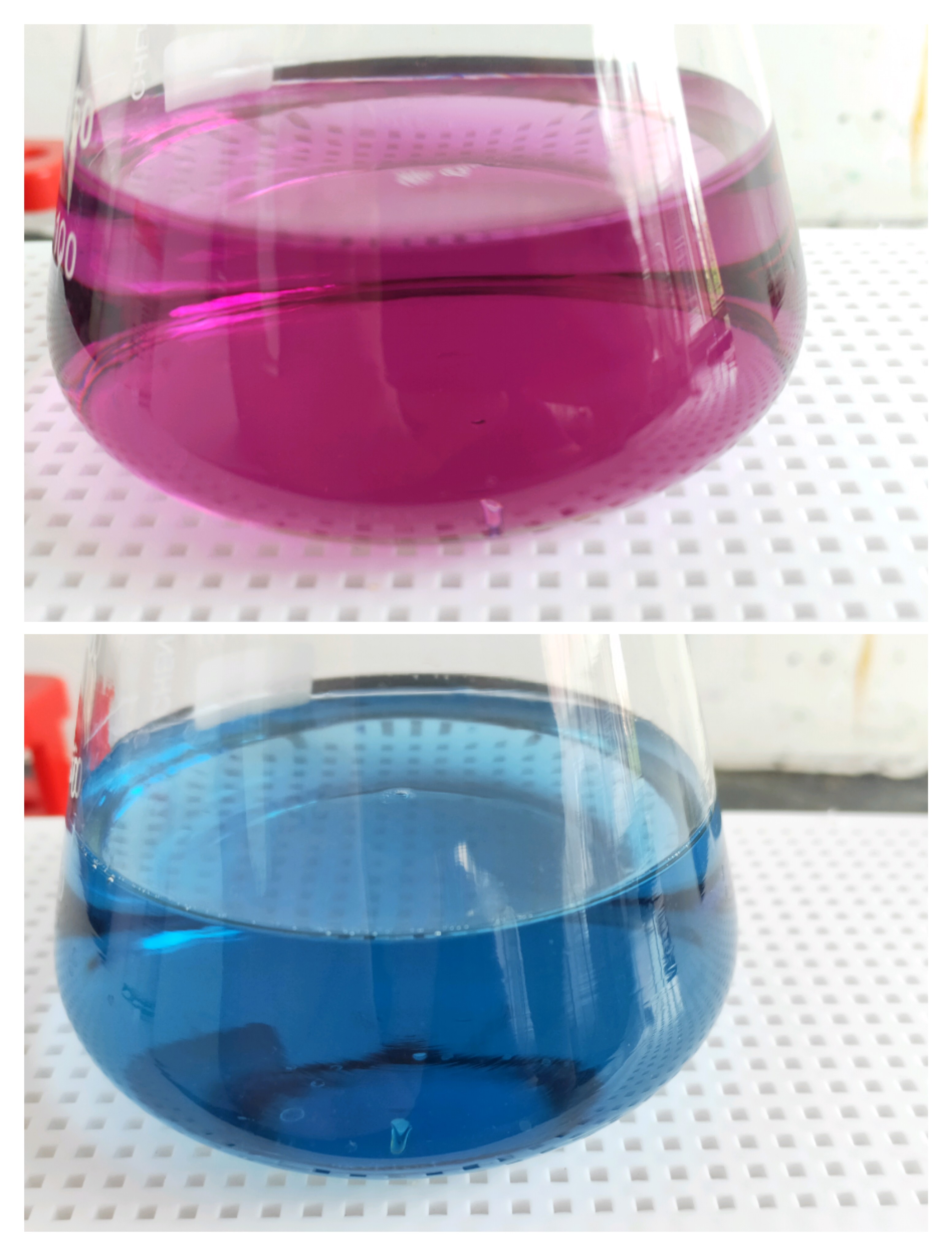 _ 环鸟苷磷酸 _ 哔哩哔哩相簿