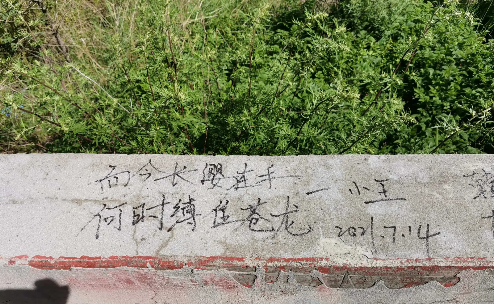 今日长缨在手,何时缚住苍龙