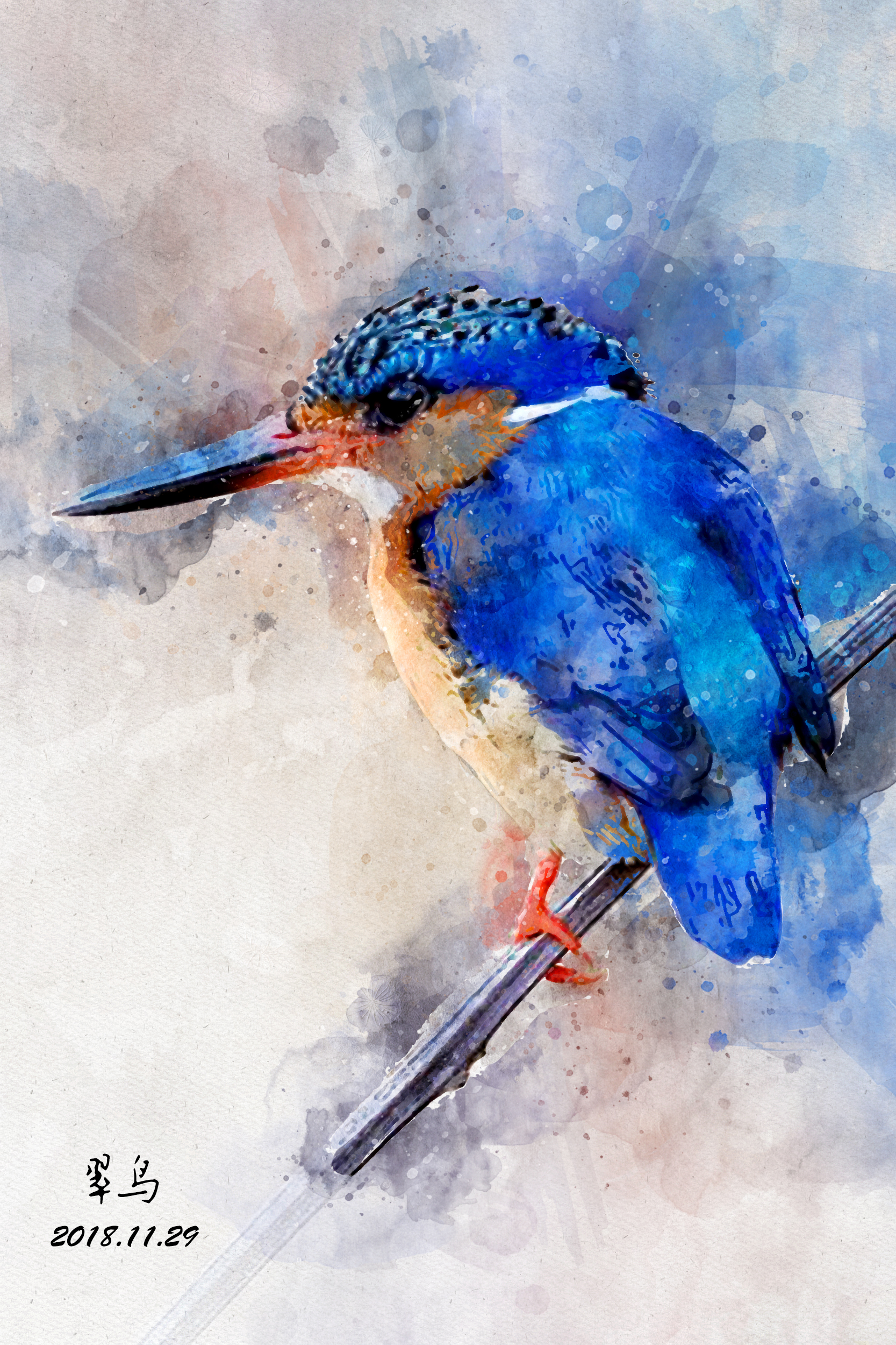 水彩画·翠鸟 _ 大乔小乔入我怀 _ 哔哩哔哩相簿