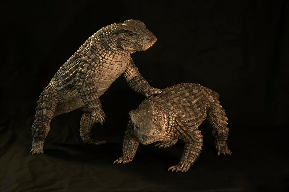 克氏狮鼻鳄simosuchus clarki浏览:939收藏:0支持:41上传时间:2020-12