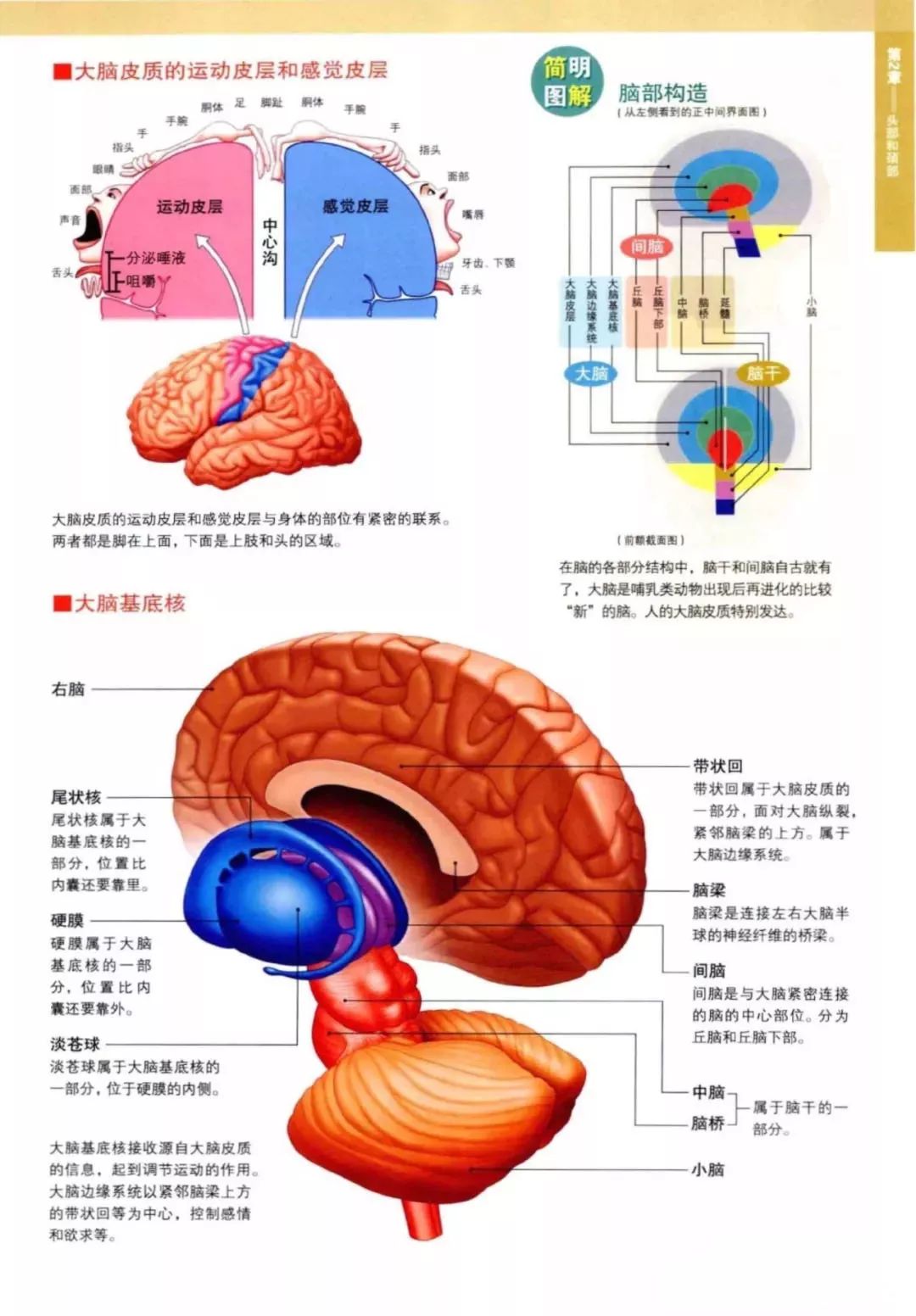 益加医 _ 哔哩哔哩相簿