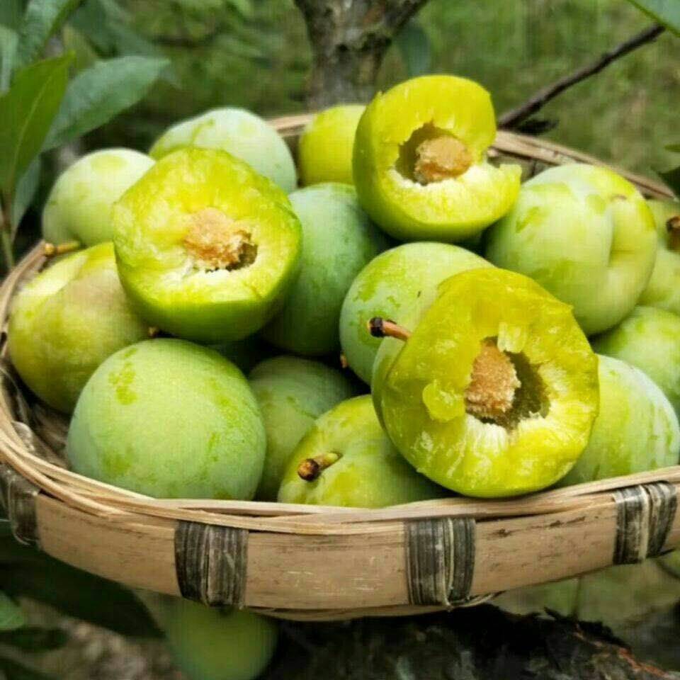 美食家大雄 _ 哔哩哔哩相簿