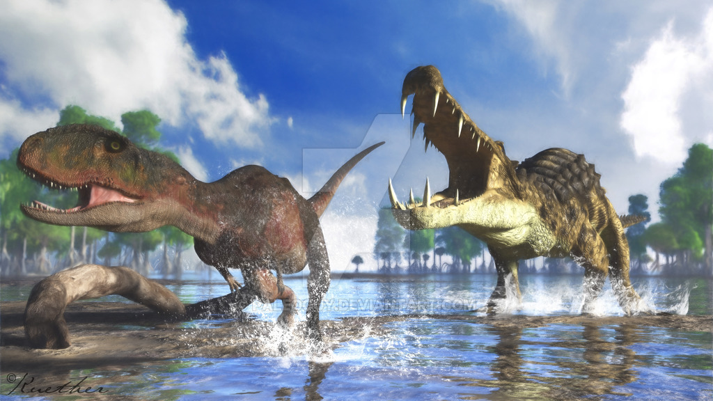 森诺曼阶瓜皮 _ 哔哩哔哩相簿