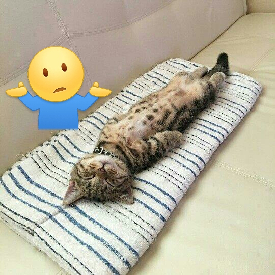 这一天天的怎么那么多的破事儿?都闲的蛋疼