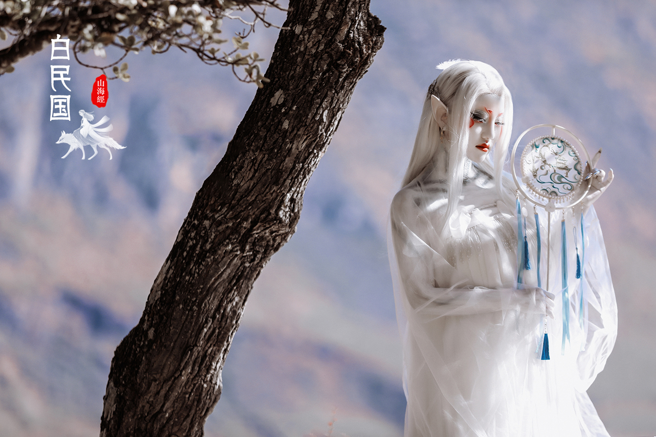 山海经 · 白民国