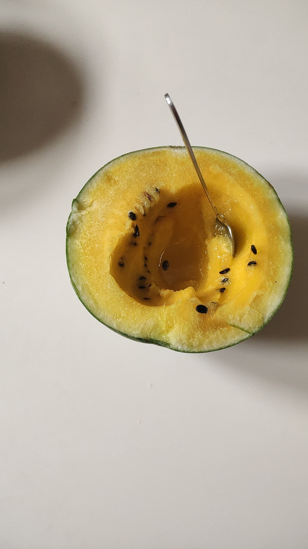 瓜瓤子是金子做的