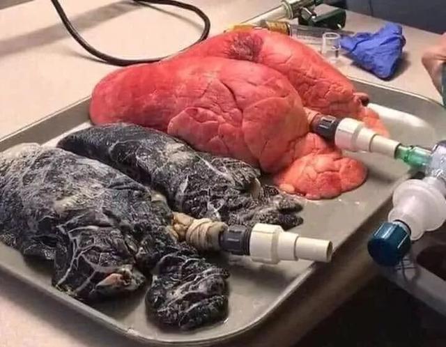 南无观世音菩萨 _ 哔哩哔哩相簿