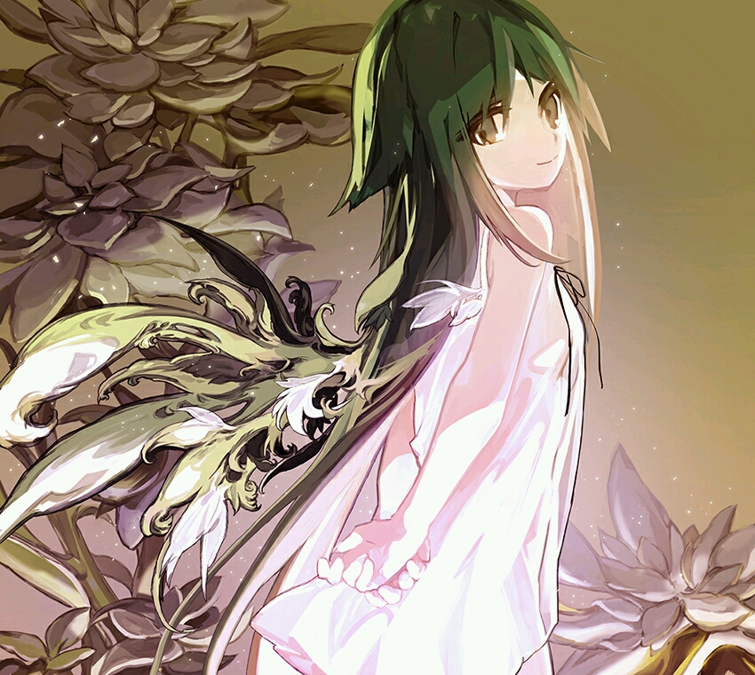 诗知翼 _ 哔哩哔哩相簿